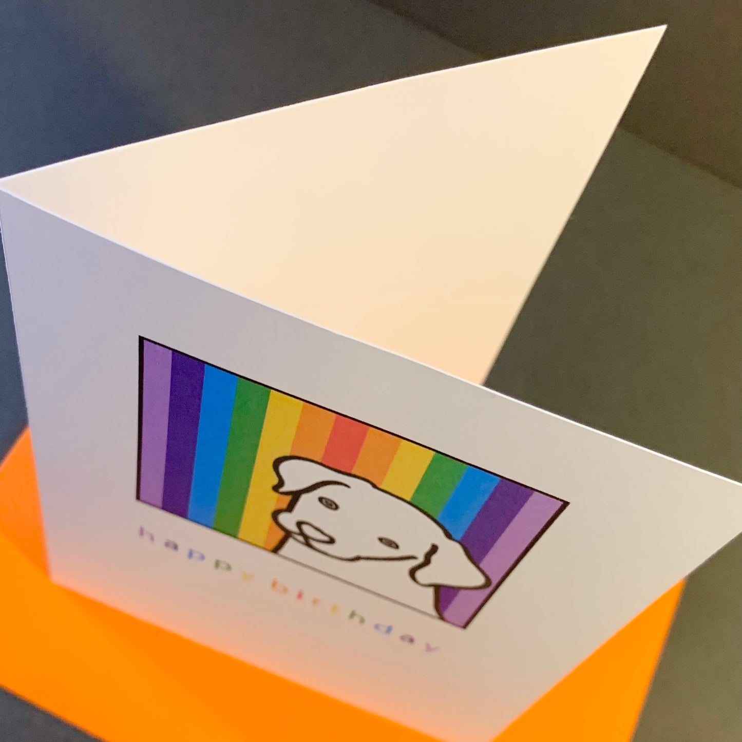 Rainbow Dog