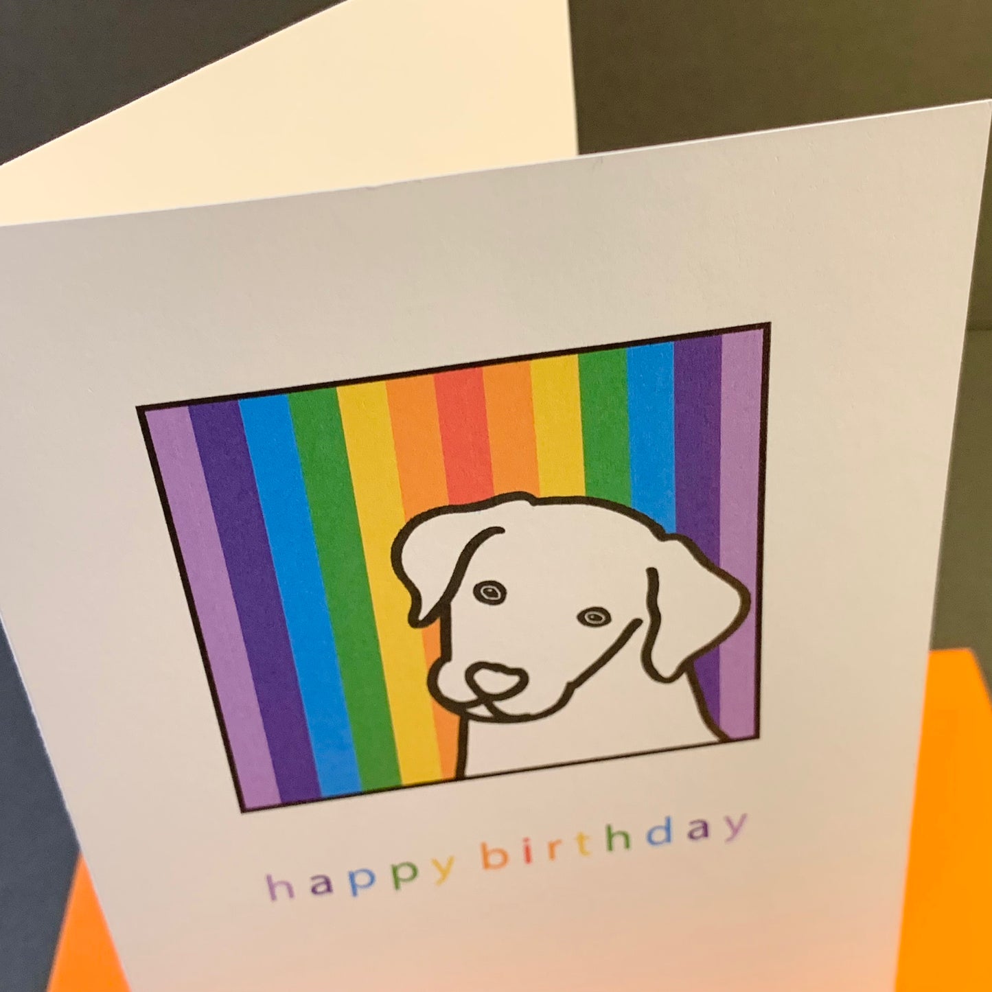 Rainbow Dog