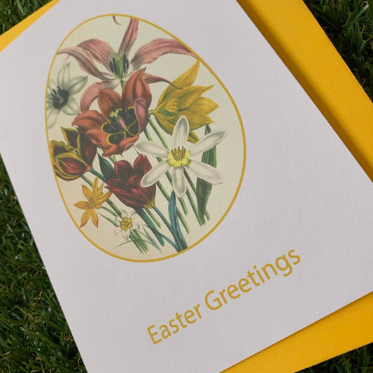 Tulipa Easter Egg - Easter Card